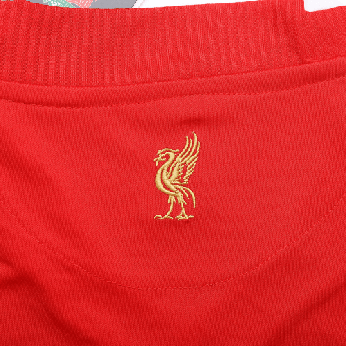 Liverpool Retro 2008/2009